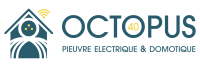 Octopus40